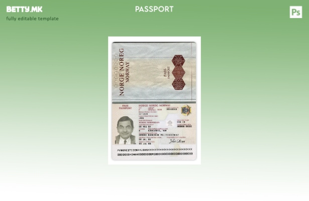 Шаблон за верзија на норвешки пасош во модерен стил